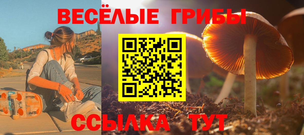 Симферополь  Псилоцибиновые грибы мухоморы  Вход с VPN 