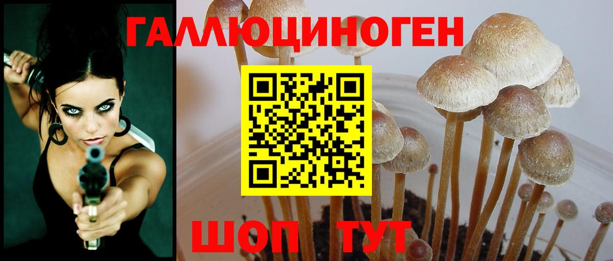 Псилоцибиновые грибы Psilocybe Симферополь